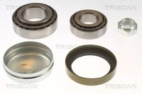 Triscan Radlagersatz 8530 10242 FüR CitroËN Peugeot Boxer Ducato Jumper Fiat Bus
