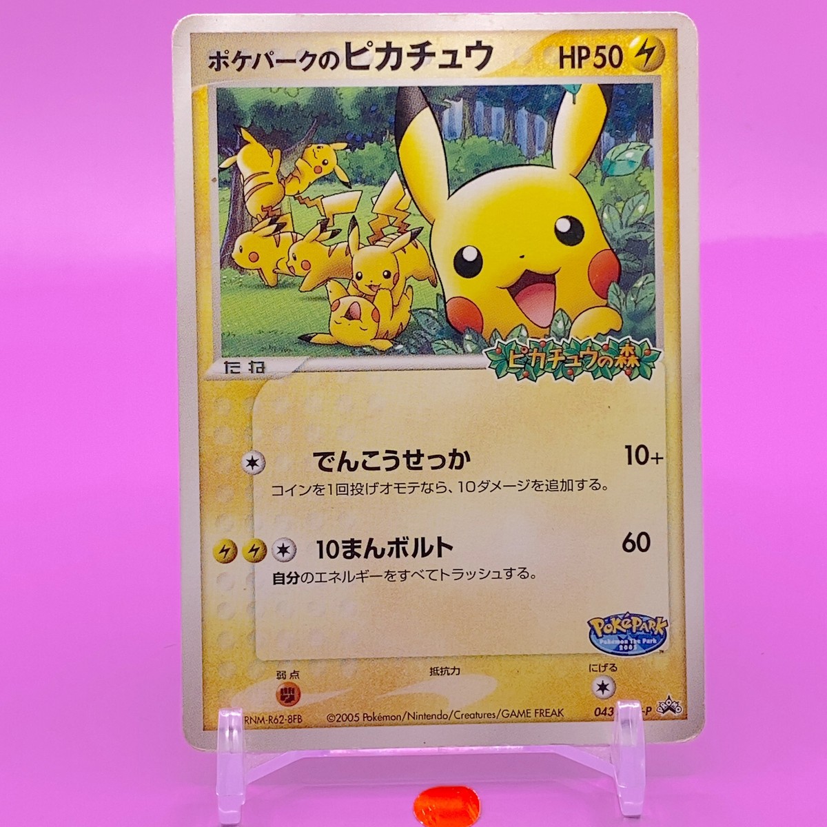 PokéPark's Pikachu TCG Promo Pokemon Card Game Japanese Nintendo