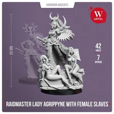 Lady Agrippyne w Female Slaves Artel W Drukhari Archon Vect Lhamaean Raidmaster