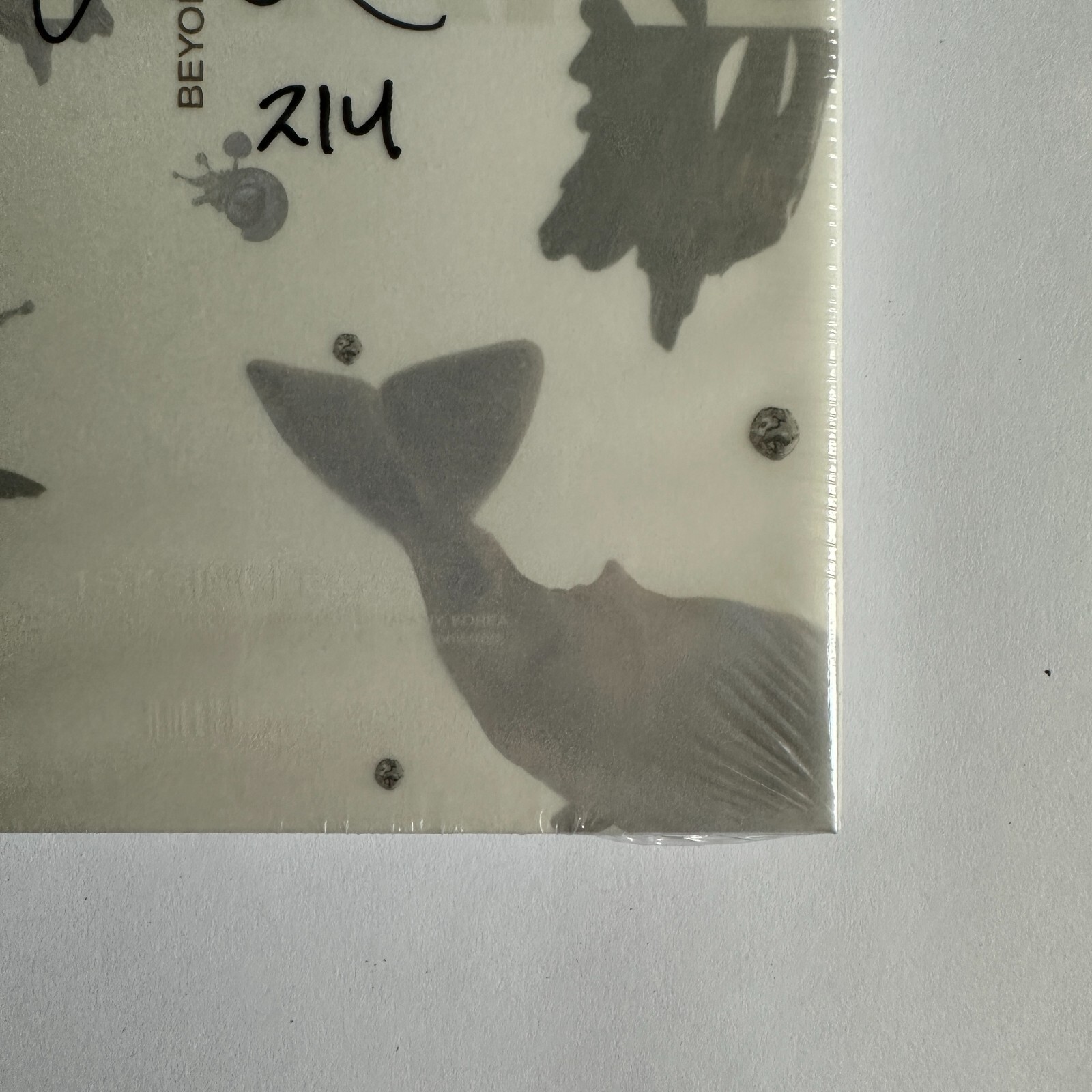 Picture 5 of 14