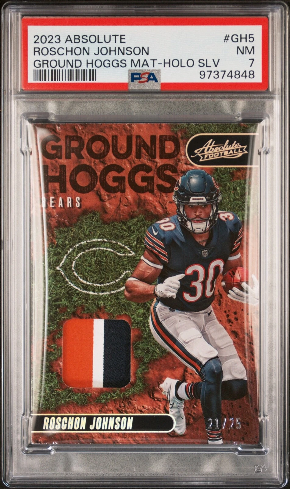 Roschon Johnson Panini Absolute Ground Hoggs Materials #GH5 Holo Silver
