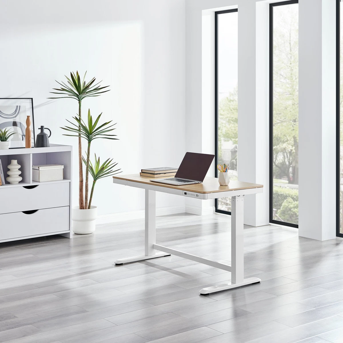 Standing desk 2024 with storage