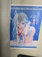 Anime B2 Wall scroll / Tapestry from Japan denpa onna