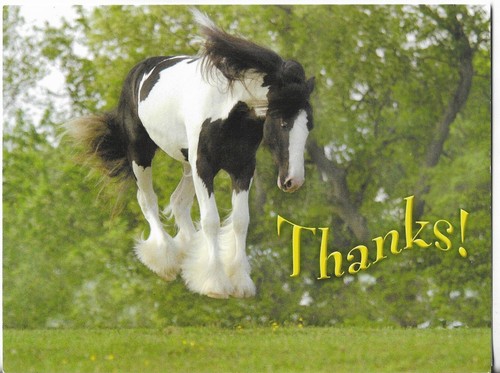 NEW LEANIN' TREE Card -7x5.5 Thanks! Horse My Feet Haven't Touched the Ground! - 第 1/3 張圖片