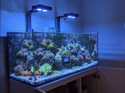 Red Sea Reefer 350 v3 | eBay