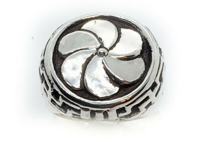 Eternity Silber Ring V4
