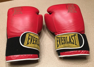 Everlast 1910 Boxing Gloves | eBay