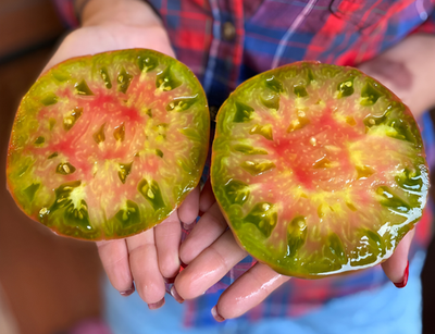 50 Heirloom Ananas Noire Tomato Seeds - Black Pineapple