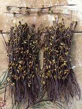 Set/50 Primitive 7" 7in SAGE Pip Berry Garland Picks Wedding Country Craft Pips