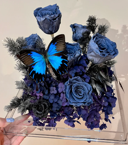 30pcs(Butterfly species with no duplicates)natural Real Butterflies Specimen - Picture 6 of 6