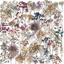 50PCS Vintage Dried Flower Stickers, Clear Botanical 2.1 inch,