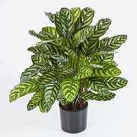 Artplants KüNstliche Calathea Badu, 90 BläTter, GrüN-Gelb, 80Cm