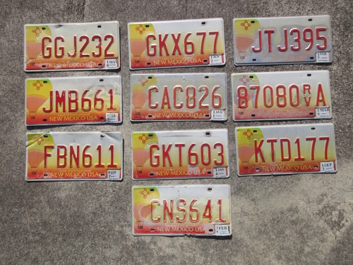 Bulk Lot of 10 New Mexico License Plate Plates Balloon Air NM Lot - KTD 177