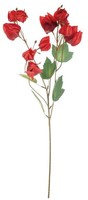 Artplants Kunst Zweig Physalis Severina Mit FrüChten, Rot, 60Cm