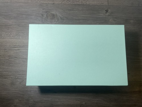 Aquazzura Teal Empty Shoe Box 11.75x7.25x4” Dust Bag Logo Tissue Excellent Con - Picture 8 of 15