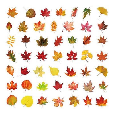 Leaf Maple Stickers for DIY Craft Projects Paper Art Supplies Waterproof Decor
