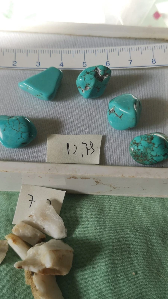 8 Perle Di Turchese Sintetico A Forma Di Tartaruga, Diametro 18mm. Per Bigiotteria Fai-da-te, Marchio Vintageparts.