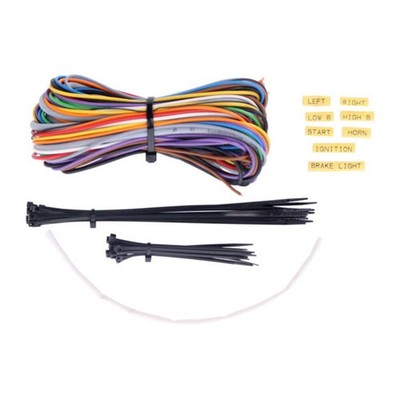 Axel Joost Electronics, Wiring Game for Brain Box for Harley-Davidson