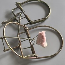 2Pcs Small Animal Catch Traps Mouse Trap Spring Trapt Rodent Cage Suit for Rat