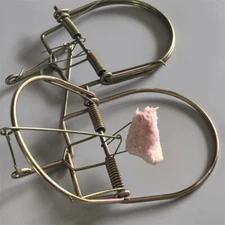 2Pcs  Small Animal Catch Traps Mouse Trap Spring Trapt Rodent Cage Suit for Rat