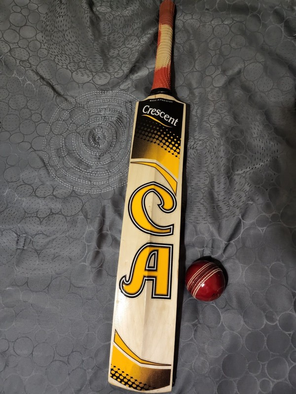CA Crescent Hardball Cricket Bat with Red Hardball