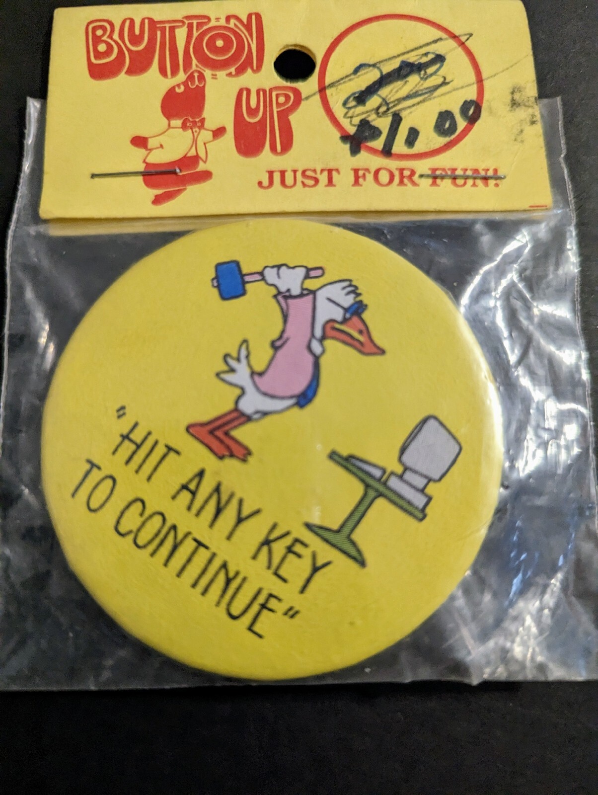 Hit Any Key To Continue Button - Duck Smashes Computer With Hammer ...