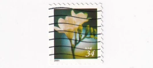 Flowers United States 34 Cent Denomination Stamps for sale | eBay