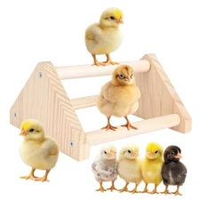Chicken Roosting Perch - Chicken Coop Accessories & Supplies for Chicks - 