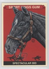 2013 Sportkings Series F Spectacular Bid #296 4pm