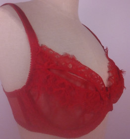 L'Agent By Agent Provocateur Red Ultra Sheer Seductive Underwired Bra Size 34 DD