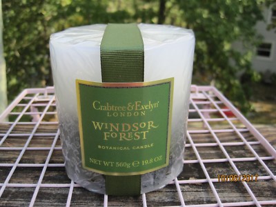 CRABTREE EVELYN WINDSOR FOREST  BOTANICAL PILLAR CANDLE~SEALED 40 HR EMBED DECOR