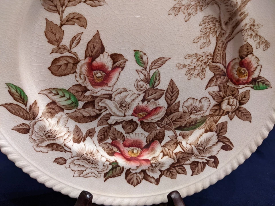 Platos de cena, (4), Johnson Brothers, Inglaterra, boquetas elegantes, impresionantes Foto 2 de 4