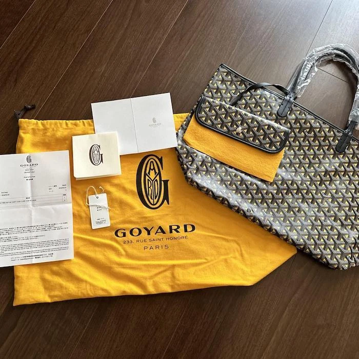 Goyard Saint Louis Claire-Voie PM Bag – كل الألوان – Trusty