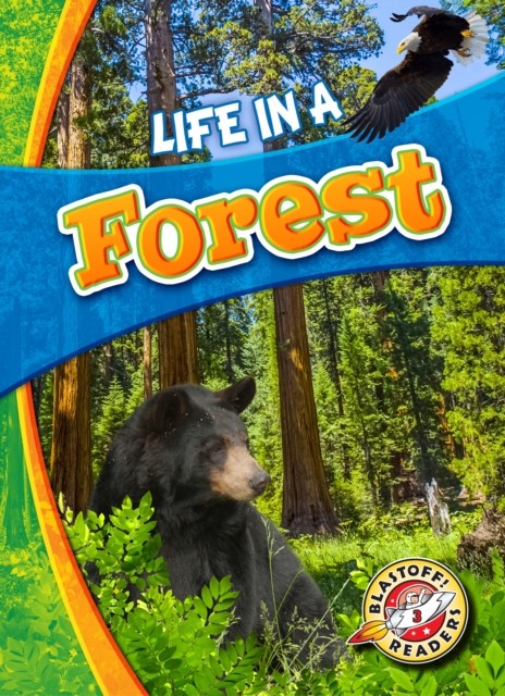 Life in a Forest by Laura Hamilton Waxman (Hardback Book)