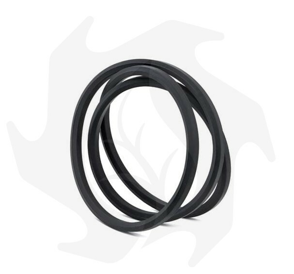 Cinghia Esagonale AA 112 13x2845 per Trattorini - Ricambio Professionale