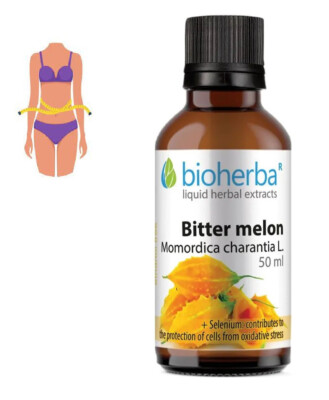 Bittermelone Kräuter Flüssigextrakt Tinktur 50ml