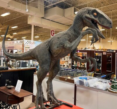 JURASSIC PARK/WORLD Universal Studios Theme Park Prop ~Life Size Velociraptor