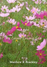 My Colour Cosmic Sea by Matthew R. Brackley (English) Paperback Book