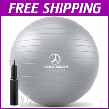 Anti-Burst Stability Ball for Workout & Pregnancy - 65 cm