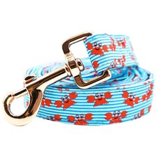 Strong Dog Leash, Blue Durable Dog leashes with Soft Handle for Walking Train...