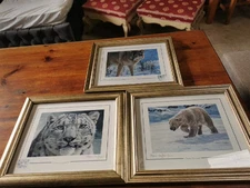 Unique Job Lot Of Stephen Grayford Limited Edition Animal Prints (32 In Number) 