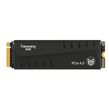 Fanxiang PS5 SSD 2TB HeatSink M.2 NVMe Game Internal Hard Drive PCIe 4.0 7300MBS