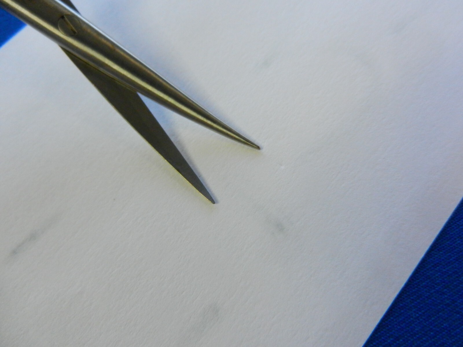 E133 Padgett Iris Curved Sharp Tip Ophthalmic Scissors 4.5" Length P2705