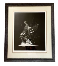 ALDERSON MAGEE SIGNED FRAMED PHOTOGRAPH FLYING DUCk EXCELLENT 25x30”