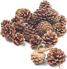 18PCS Hanging Natural Pine Cones (1.5"–2.5"), Rustic Pinecones with Strings for 