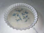 Arcuisine Iridescent Milk Glass France Quiche Dish Forget Me Not VTG 10.75”D