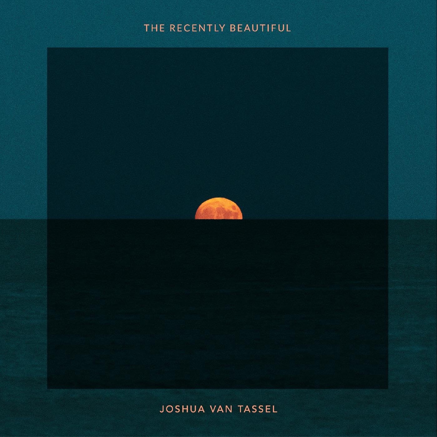 Joshua Van Tassel The Recently Beautiful (Vinyl LP)