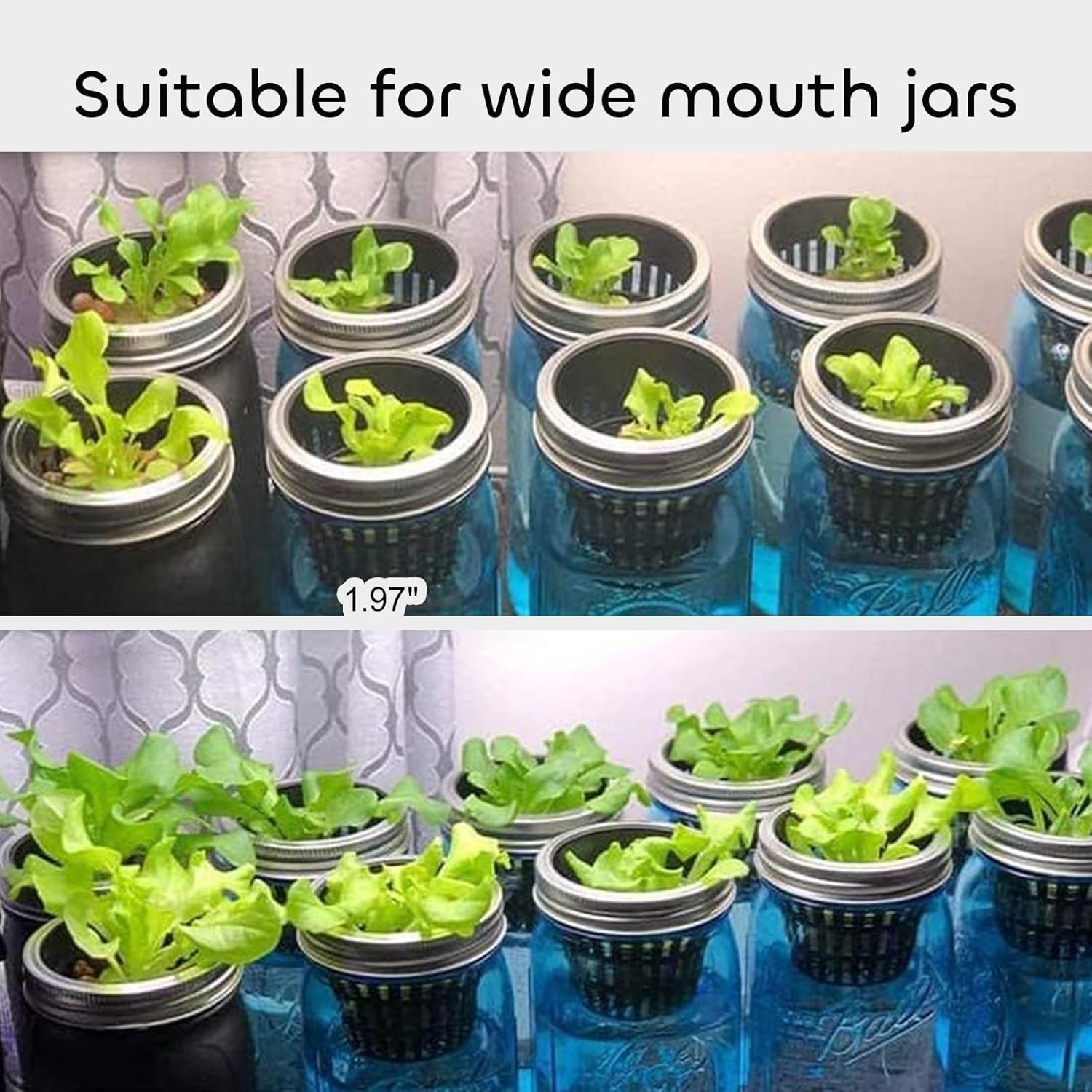 GROWNEER Net Pot for Hydroponics 100 Pcs 2 Inch Garden 2 Inches, Black 