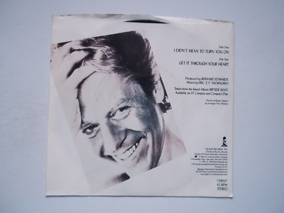 ロバート　パーマー I didn't mean to turn7 　ジャムルイ作 ROBERT PALMER I Didn't Mean To Turn You On / Get It Thru 45 RPM