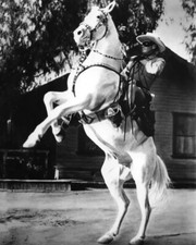 The Lone Ranger And Silver Clayton Moore 8x10 PHOTO PRINT